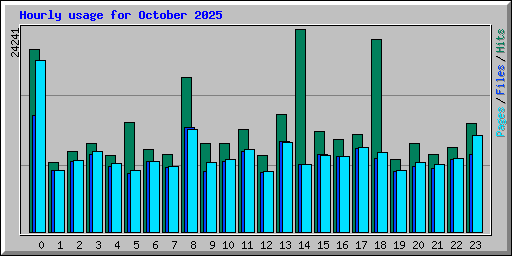 Hourly usage for October 2025