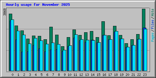 Hourly usage for November 2025