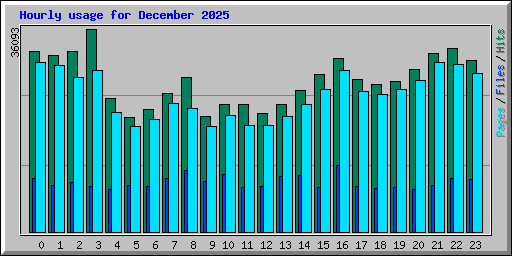 Hourly usage for December 2025