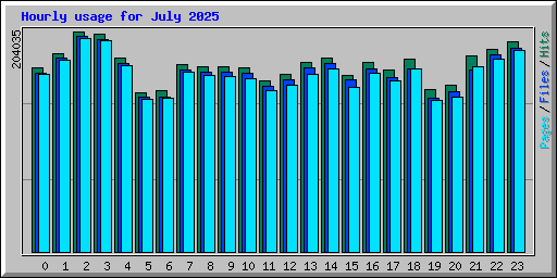 Hourly usage for July 2025